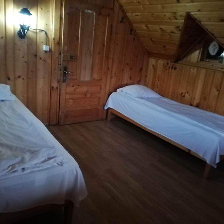 Casa Radu Lui Anghel Villa Barbuletu Eksteriør billede