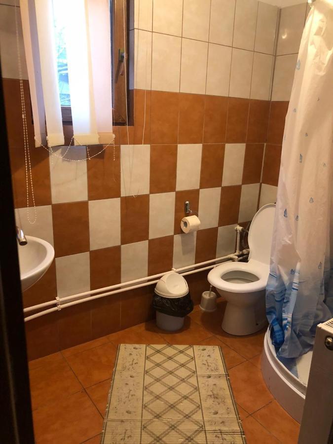 Casa Radu Lui Anghel Villa Barbuletu Eksteriør billede