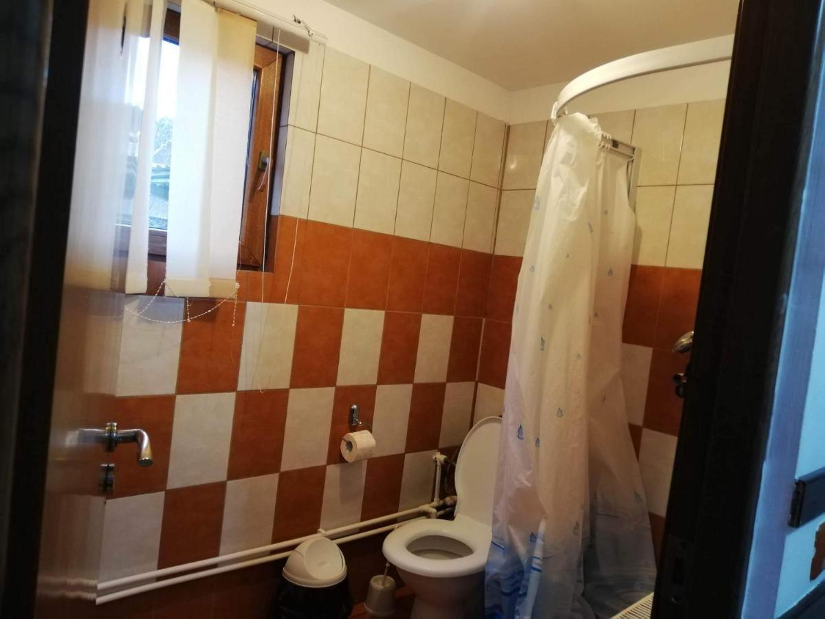 Casa Radu Lui Anghel Villa Barbuletu Eksteriør billede